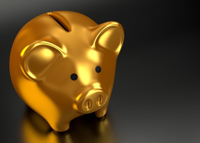 piggy-bank-2889046_1920